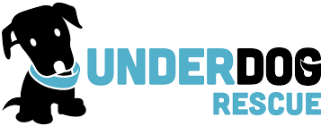 Underdog Rescue, MN